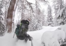 La Plagne tree lines