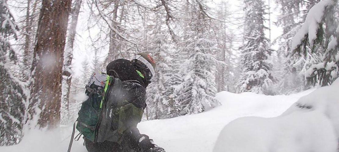 La Plagne tree lines